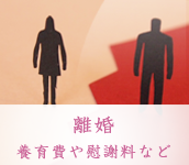 離婚 養育費・慰謝料・財産分与